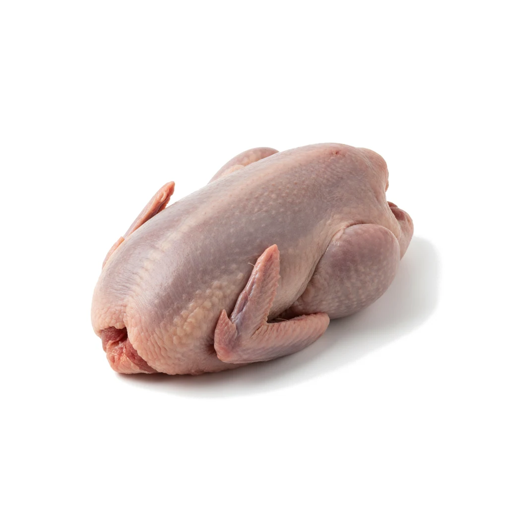Мясо голубя