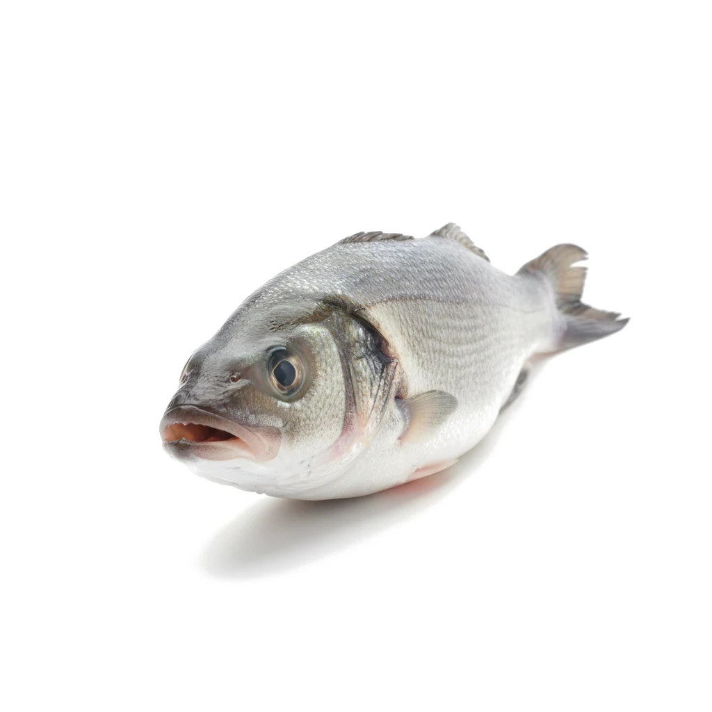 Окунь морской свежий
