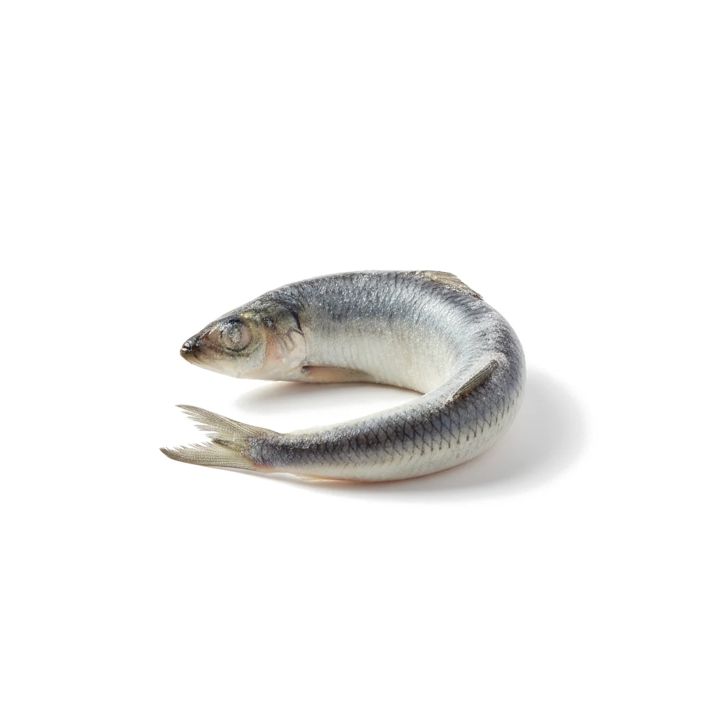 Сельдь мороженая