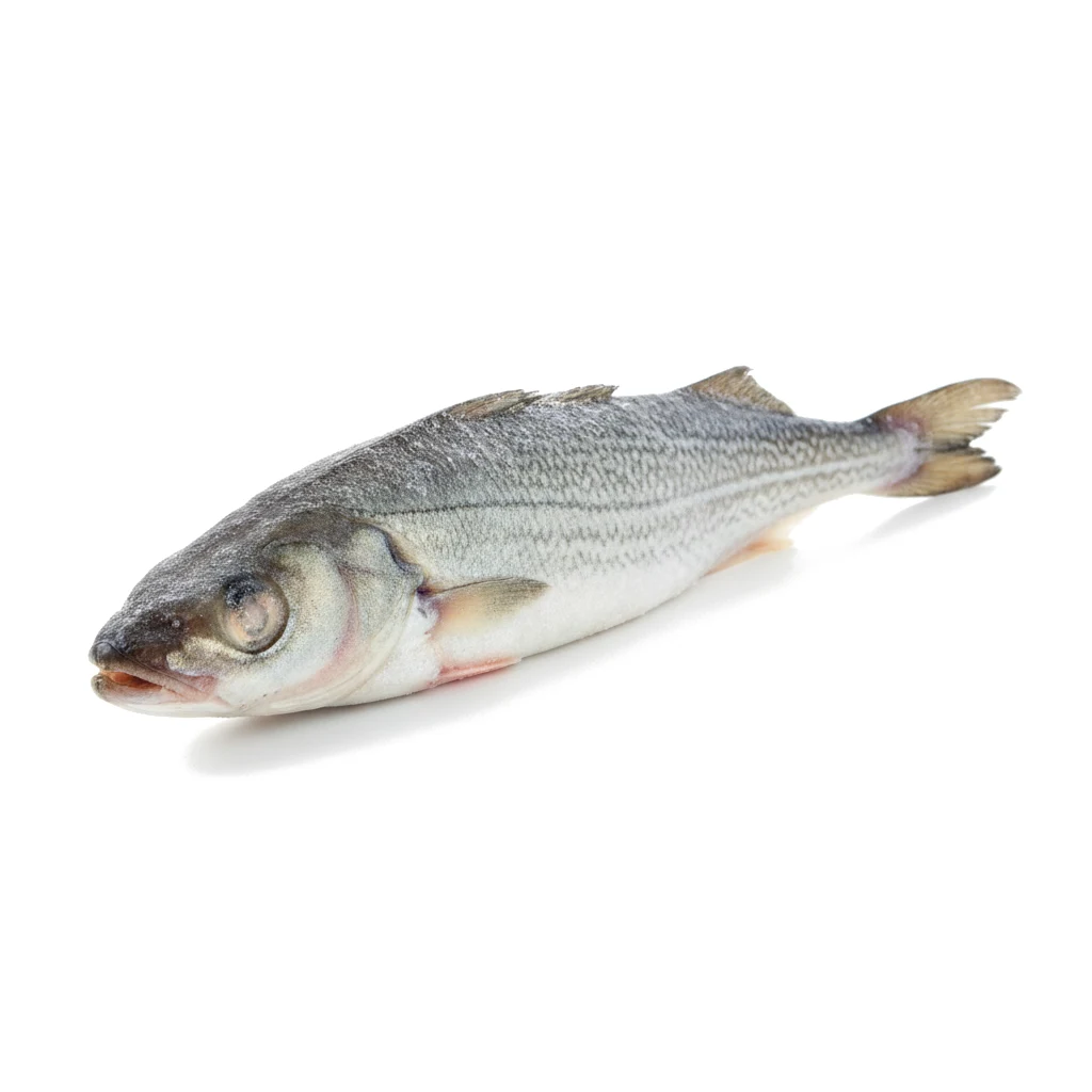 Сайда мороженая