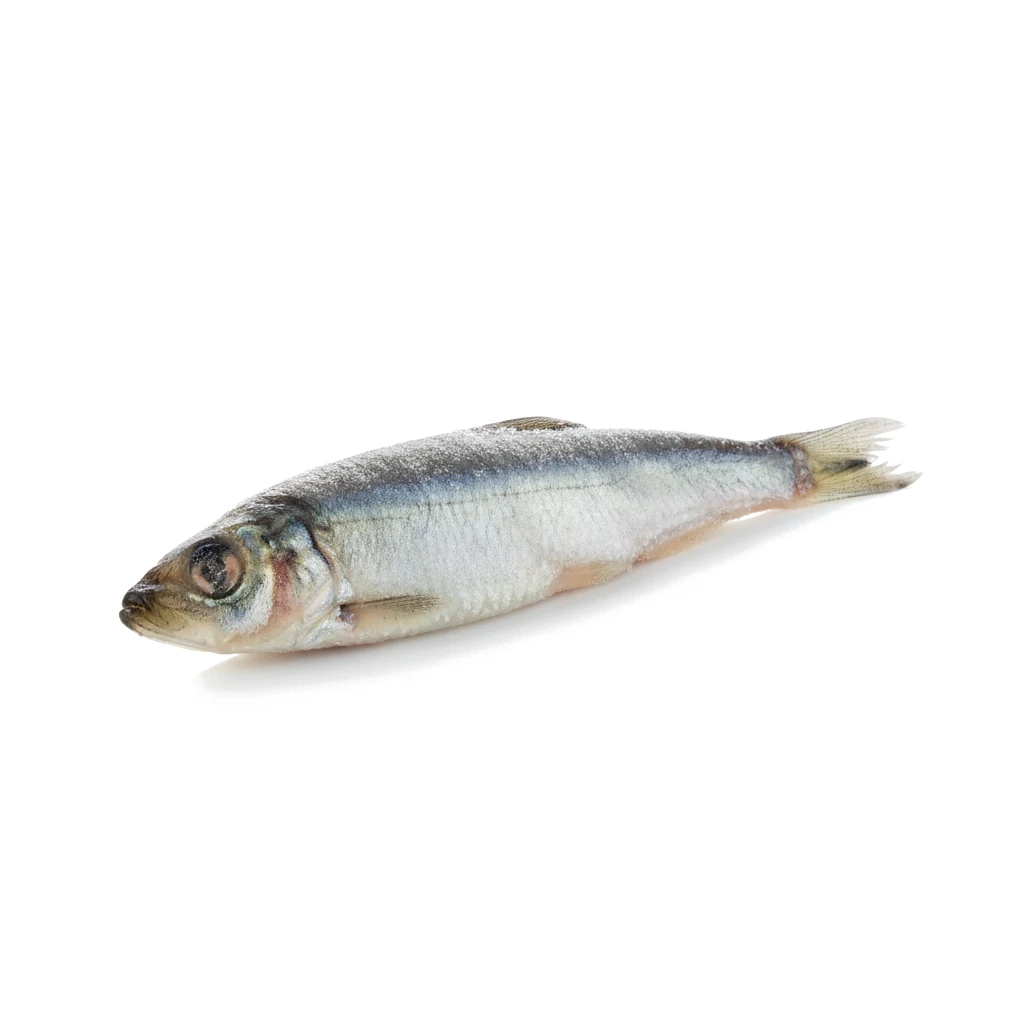 Килька мороженая