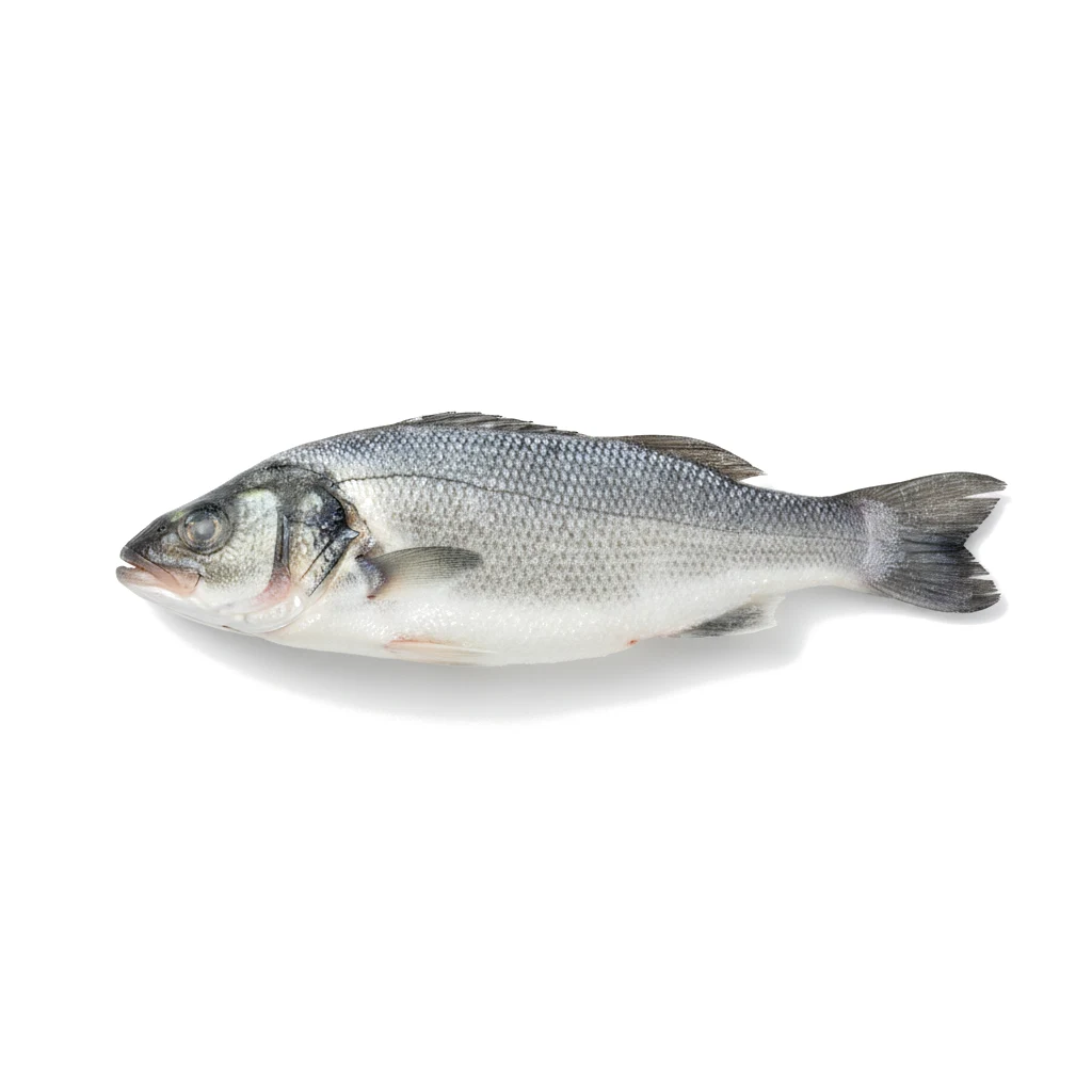 Сибас мороженый