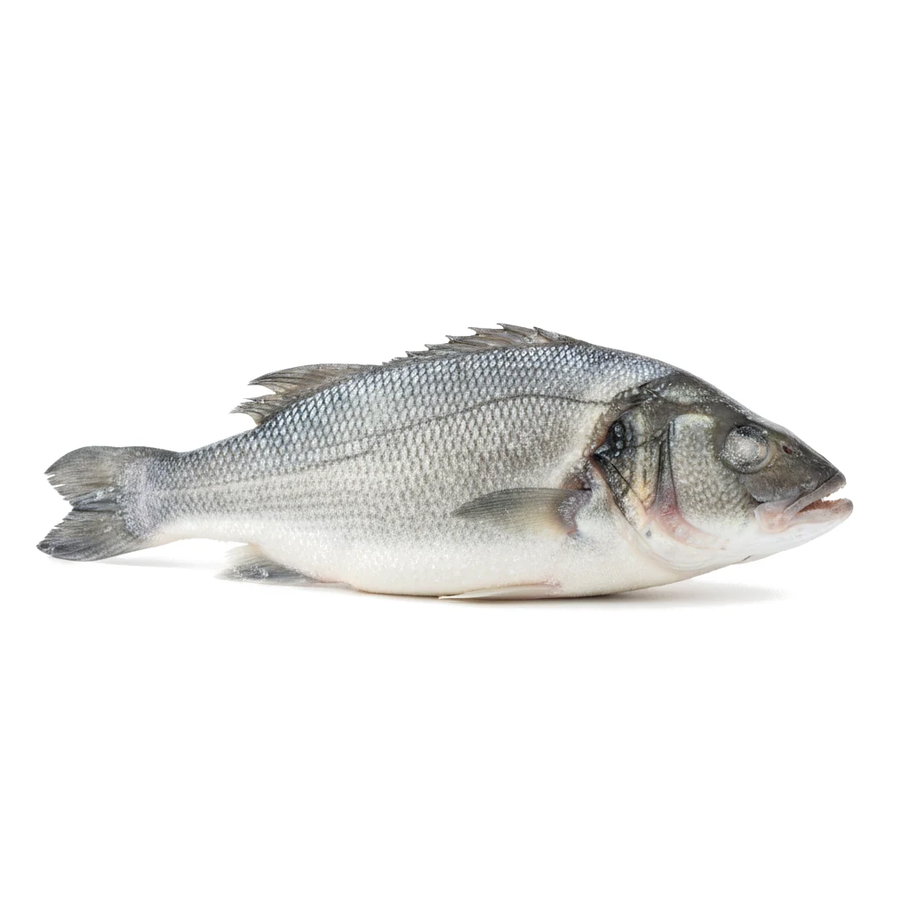 Лаврак мороженый