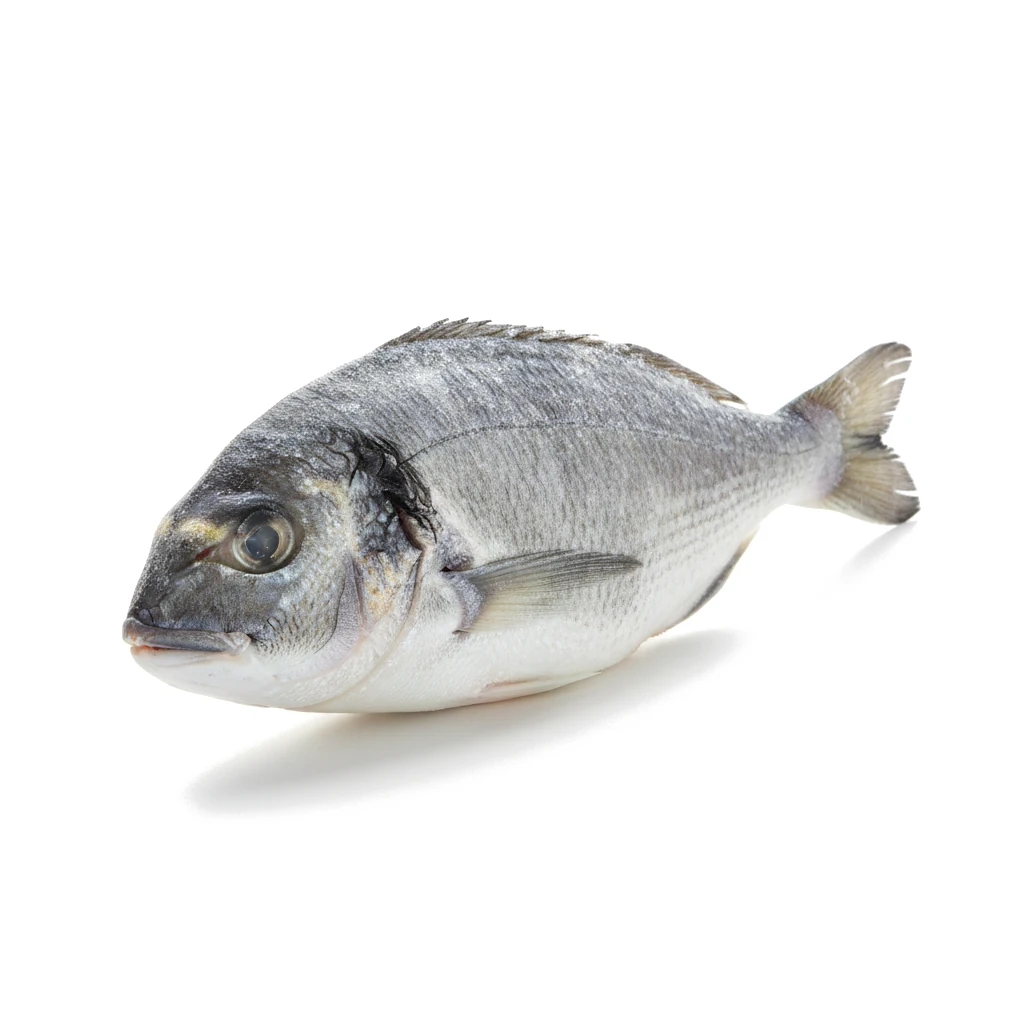 Лещ морской мороженый