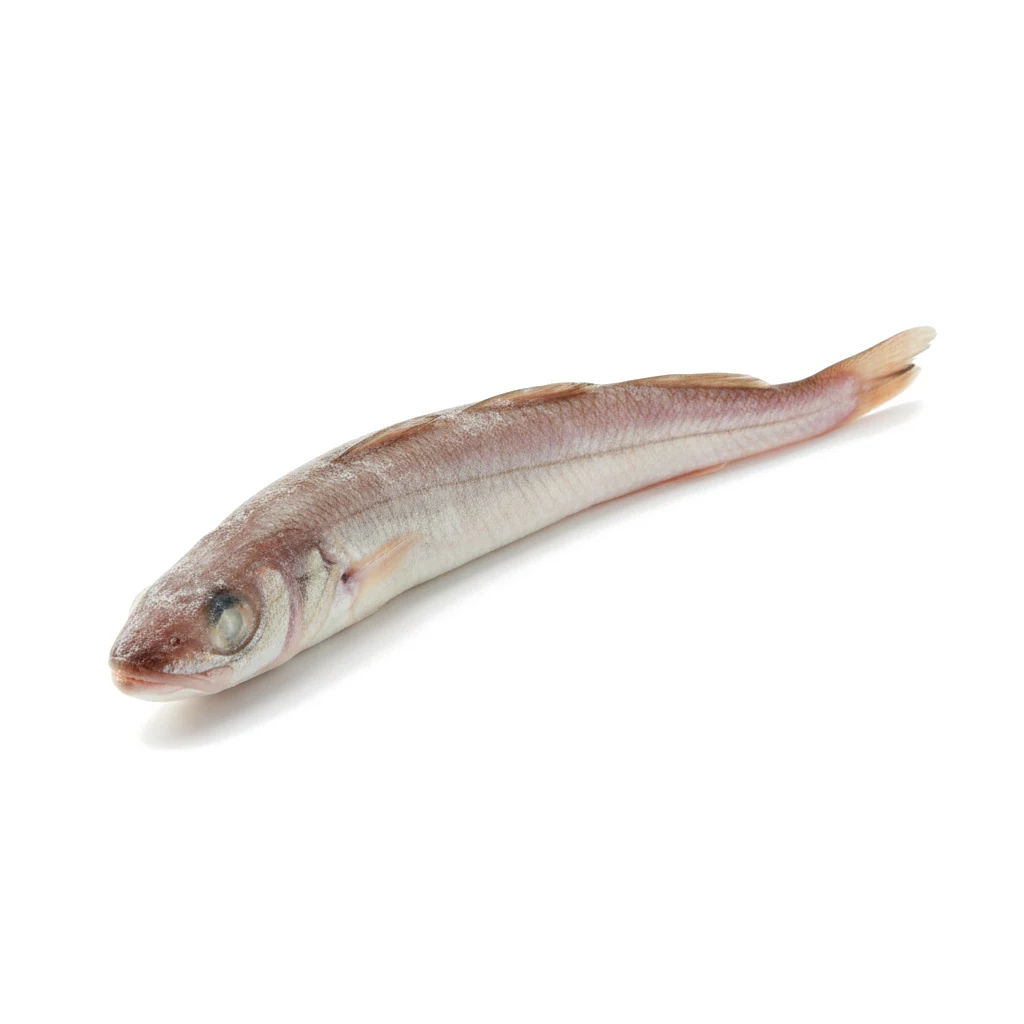 Конгрио черный мороженый