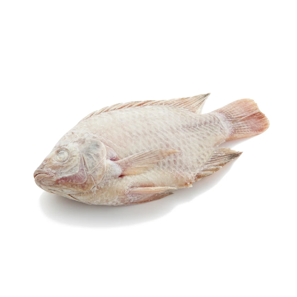 Мясо тилапии мороженое