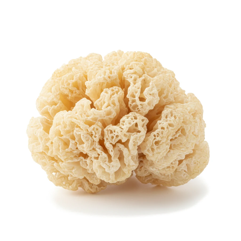 Грибы Tremella сушеные